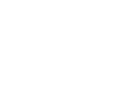 aimfirearms_logo